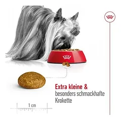 Royal Canin X-Small Adult sausas maistas šunims, 3 - 4,9 kg — 3 nuotrauka