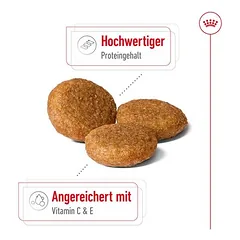 Royal Canin Medium Adult sausas maistas šunims, > 10 kg — 4 nuotrauka