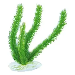 Aquael plastikinis augalas akvariumui ap-048, 20cm
