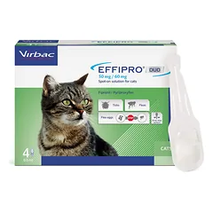 EFFIPRO DUO 50mg Cat užlašinamasis tirpalas katėms N4