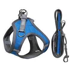 Petnešos šunims M 48-55cm Mėlynos