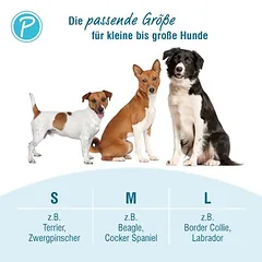 Petlando Outdoor antkaklis, oranžinis, Dideliems 26–45 kg — 5 nuotrauka