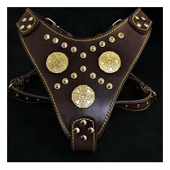 Bestia petnešos šunims Maximus, Mažiems 5–10 kg — 2 nuotrauka