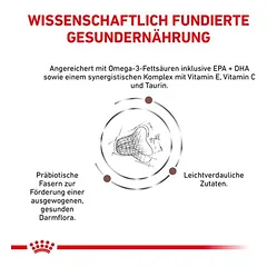 Royal Canin Expert Feline Gastrointestinal Fibre Response sausas maistas katėms, 4 kg — 4 nuotrauka