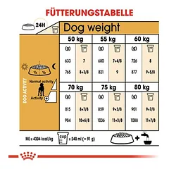 Royal Canin Great Dane Adult sausas maistas šunims — 5 nuotrauka