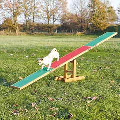 Trixie Agility Wippe, Trixie Agility Wippe L 300 x B 34 x H 54 cm — 2 nuotrauka