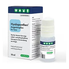 CP-Pharma Hyalopanthen Augentropfen