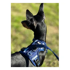 OURDOGSLIFE magnetinės šunų petnešos + 2 m pavadėlis (komplektas), M, mėlyna — 3 nuotrauka