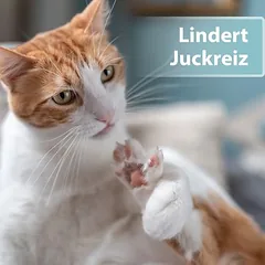 Felisept Hautpflege-Spray nuotrauka