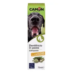 Camon dantų pasta su moliu šunims
