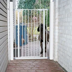 TIAKI Hohes Metall-Hundegitter