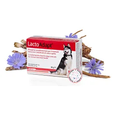 DOGOTEKA LactoAdapt 60 tabl.