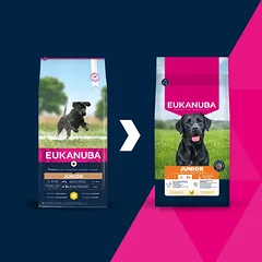 Eukanuba Life Care Junior sausas maistas didelių veislių jauniems šunims su vištiena, L, 15 kg — 2 nuotrauka