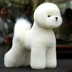 Mr. Jiang Bichon Model Dog - kirpimo praktikos manekenas, be kailio — 2 nuotrauka