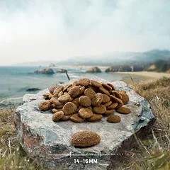Purizon Wild su triušiena Adult, begrūdis sausas maistas šunims, > 10 kg — 2 nuotrauka