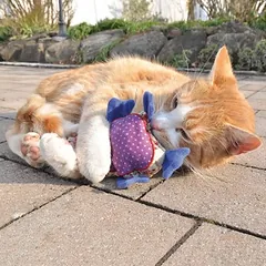 Aumüller žaislinė pagalvėlė katėms su valerijonu Patchwork pelėda, Ekonominė pakuotė: 2 vnt. — 5 nuotrauka
