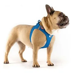 Curli Vest Clasp Air-Mesh petnešos šunims, mėlynos, Labai mažiems < 4 kg — 3 nuotrauka