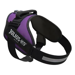 Julius - K9 IDC Powerharness Dark - aukštos kokybės petnešos, šuns petnešos tamsiai violetinės spalvos