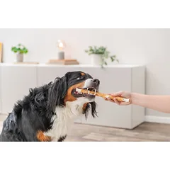 TRIXIE vištienos kramtomasis suktinukas, 28 cm, 80 g (pakuotė 100) parduotuvėje Petz.lt