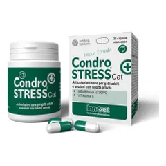 Innovet Condrostress+ Cat pašaro papildas katėms