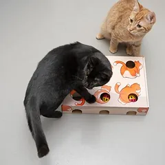 TIAKI žaislas katėms Fun Box, 1 vnt. — 5 nuotrauka