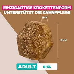 Eukanuba Grain Free Adult su žvėriena, sausas maistas šunims — 5 nuotrauka