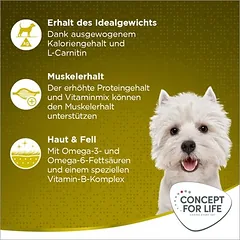 Concept for Life Mini Adult sausas maistas šunims, 3 - 4,9 kg — 4 nuotrauka