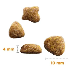 IAMS Cat Senior Chicken sausas maistas katėms virš 7 metų su vištiena, 800 g — 2 nuotrauka