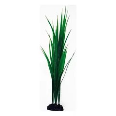 AMTRA BAMBOO augalas vidutinis 17cm 1vnt