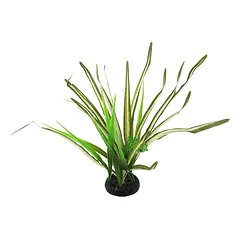 Repti Planet Spartina Grass 30 cm parduotuvėje sunu.lt