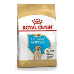 Royal Canin BHN Labrador Retriever Junior sausas maistas šunims 12 kg parduotuvėje petreon.lt