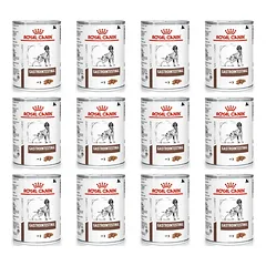 ROYAL CANIN Gastro Intestinal GI25 12x400g skardinė ŠUO