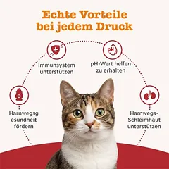 Zesty Paws Cat Urinary Care pasta katėms — 4 nuotrauka