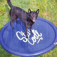 Beeztees Sprinklermatte Stay Cool, blau