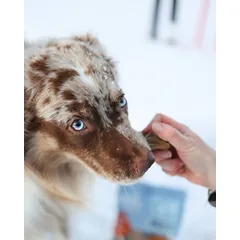 Four Friends Natural Snacks Beef Lung skanėstas šunims, džiovinti jautienos plaučiai, 800 g — 4 nuotrauka