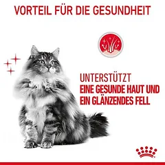 Royal Canin Hair & Skin Care sausas maistas katėms, > 10 kg — 4 nuotrauka