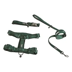 Nomad Tales Blush petnešos šunims, emerald, Dydis XS: 34–49 cm krūtinės apimtis, 15 mm pločio — 5 nuotrauka