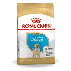 Royal Canin Labrador Retriever Puppy sausas maistas šuniukams