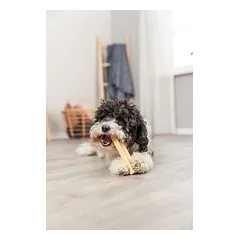 TRIXIE Kietas sūrio skanėstas šunims, S: 13.5 cm, 45 g (pak.18) — 5 nuotrauka