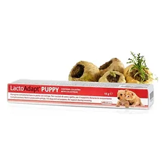 DOGOTEKA LactoAdapt pasta šuniukams 15 g