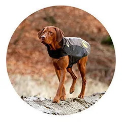 Karlie Flamingo paltukas šunims TOUCHDOG S, rožinis — 2 nuotrauka