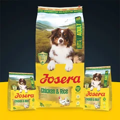 Josera A/S Chicken&Rice sausas maistas šunims, 12,5 kg — 2 nuotrauka