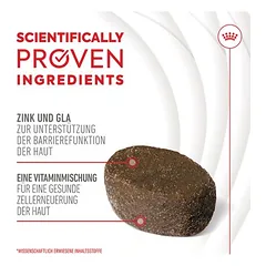 Royal Canin Skin & Coat Adult Supplement kramtomi skanėstai šunims — 5 nuotrauka