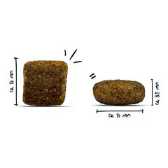Bosch Plus Mix ekonominė pakuotė, sausas maistas šunims 2 x 12,5 kg, > 10 kg — 2 nuotrauka