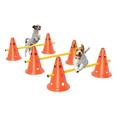 PawHut Agility Set Hunde