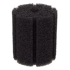 Kempinė 10cm ilgio