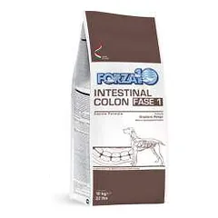 Forza10 Intestinal Colon Fase 1 sausas maistas šunims, sergantiems virškinamojo trakto ligomis, 10 kg