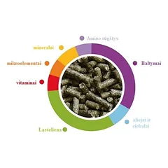 Maistas jauniems dekoratyviniams triušiams Wellness 1 kg — 2 nuotrauka