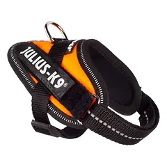 Julius K-9 IDC Powerharness petnešos šunims (oranžinė)