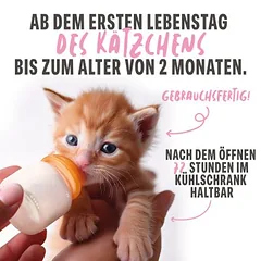 Schesir Kitten su ožkos pienu, drėgnas maistas kačiukams — 4 nuotrauka